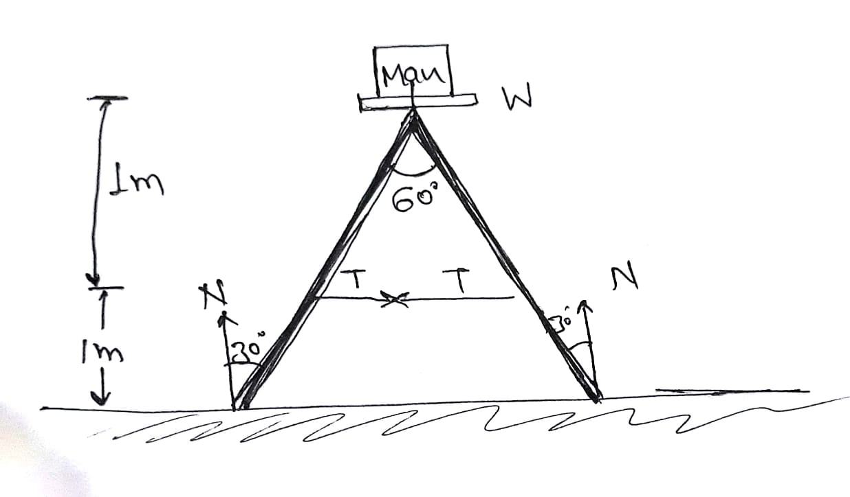 Question image for The ladder shown in figure has negligible mass an